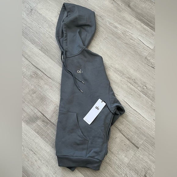 NWT ALO Accolade Hoodie Sweatshirt Size M Steel Gray - Picture 5 of 6